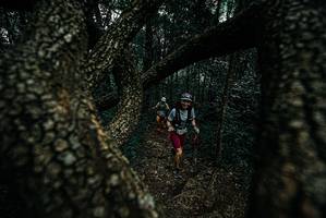 BIB: 
                            <button type="button" onclick="openModal(25689458)" class="btn btn-primary btn-sm float-right btn-popup" data-toggle="modal" data-target=".modal-high-quality">
                        <i class="fas fa-shopping-cart"></i> Add to Cart
                    </button>
                                            <button type="button" onclick="isThisMe(25689458, true)" class="btn btn-success btn-sm float-right btn-popup btn-isme hidden" data-toggle="tooltip" data-placement="bottom" title="นี่คือรูปของคุณใช่ไหม คลิกที่นี่เพื่อเอาเข้าอัลบั้ม">
                        <i class="fas fa-plus"></i> Add to album
                    </button>
                    <button type="button" onclick="isThisMe(25689458, false)" class="btn btn-warning btn-sm float-right btn-popup btn-isnotme hidden">
                        <i class="fas fa-ban"></i> Remove from album
                    </button>